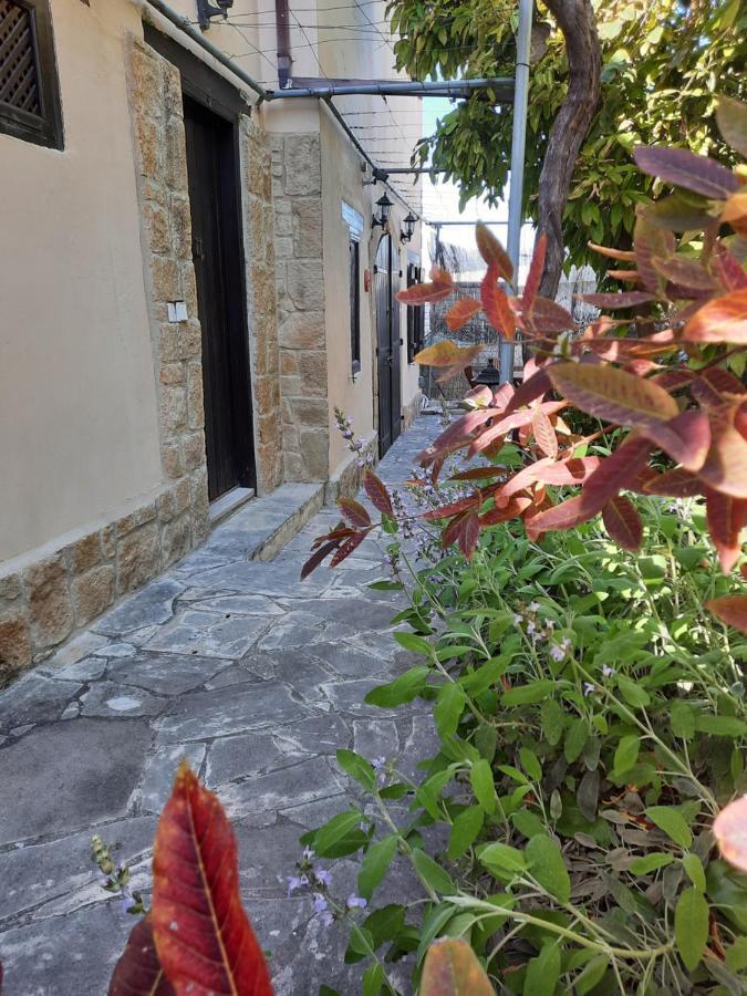 Vasilion Agrotourism Villa Polis Dış mekan fotoğraf