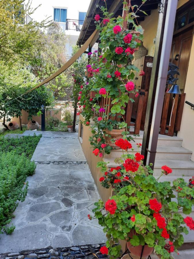 Vasilion Agrotourism Villa Polis Dış mekan fotoğraf