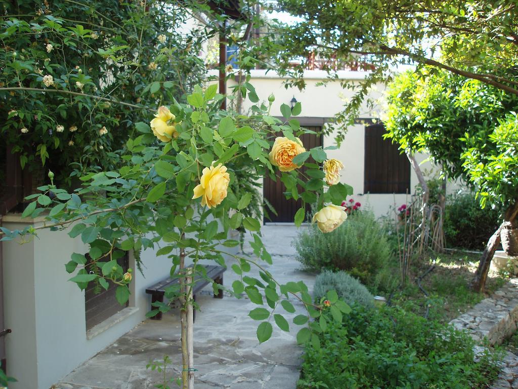 Vasilion Agrotourism Villa Polis Oda fotoğraf
