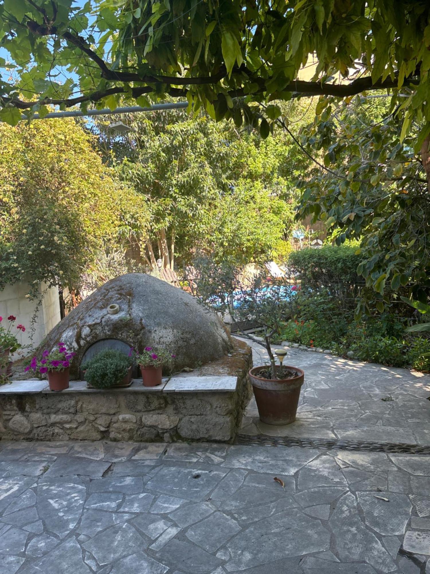 Vasilion Agrotourism Villa Polis Dış mekan fotoğraf