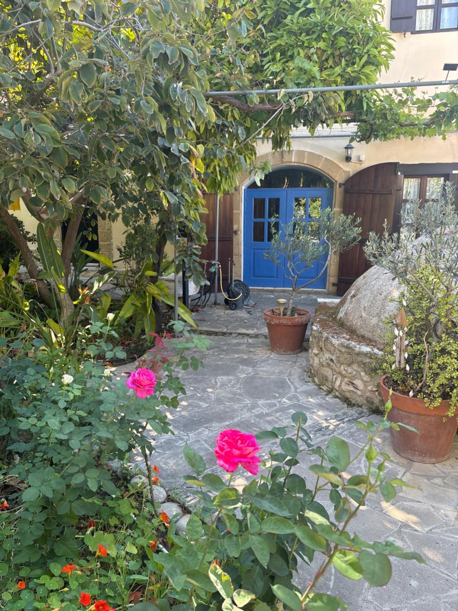 Vasilion Agrotourism Villa Polis Dış mekan fotoğraf