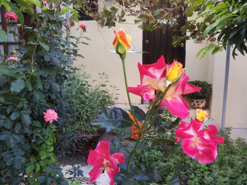 Vasilion Agrotourism Villa Polis Dış mekan fotoğraf