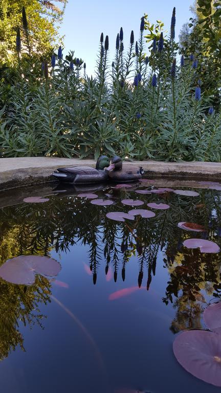 Vasilion Agrotourism Villa Polis Dış mekan fotoğraf