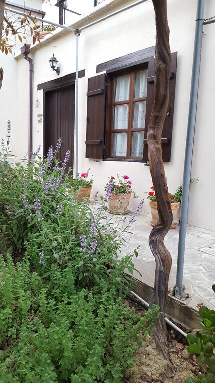 Vasilion Agrotourism Villa Polis Dış mekan fotoğraf