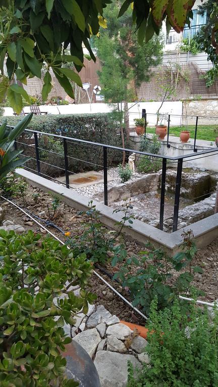 Vasilion Agrotourism Villa Polis Dış mekan fotoğraf
