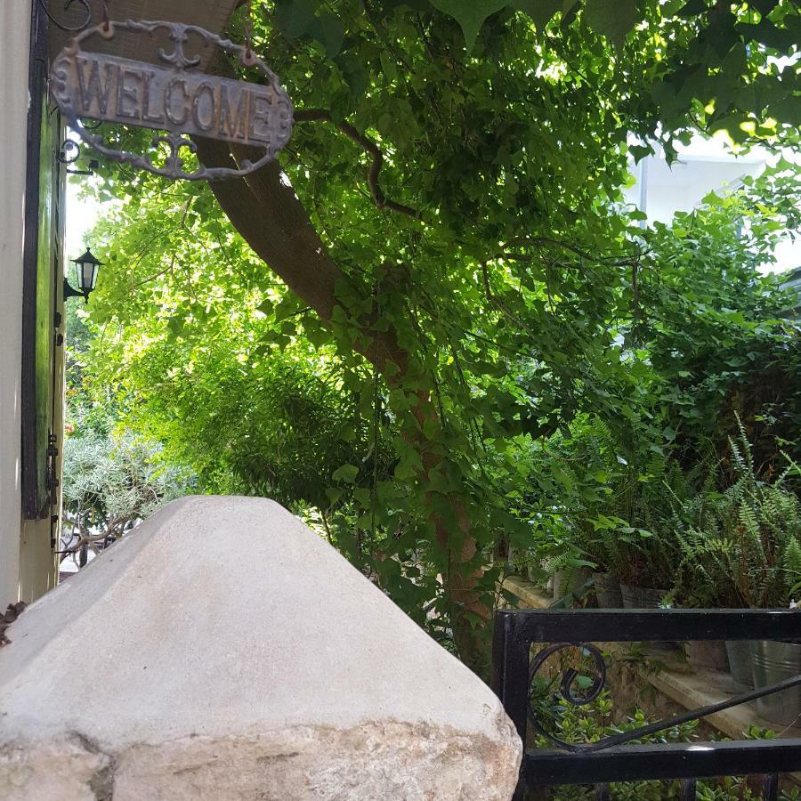 Vasilion Agrotourism Villa Polis Dış mekan fotoğraf
